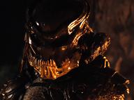 Predators