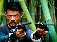 Rang zidan fei