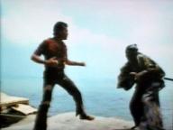 Raw Force