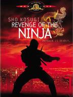 Revenge of the Ninja