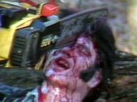 Savage Vengeance