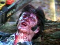 Savage Vengeance