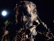 Scarecrows
