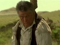 Texas Rangers