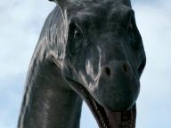 The Water Horse
