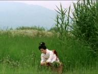 Zatoichi hatashi-jo