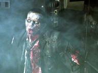 Zone of the Dead