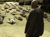 Zone of the Dead